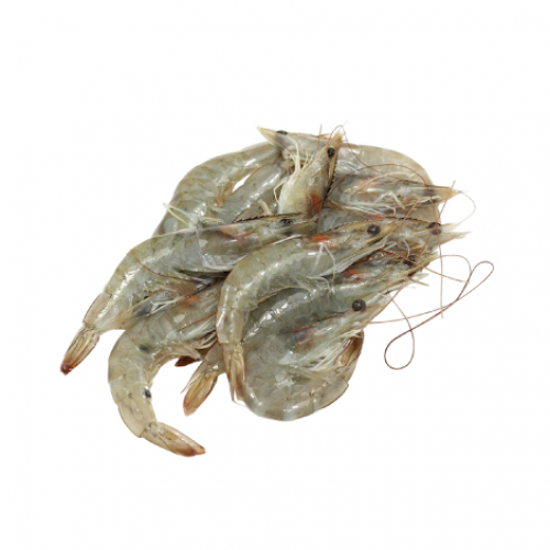 GAMBAS (1kg)