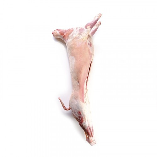 LAPIN (1.kg - 1.2kg)