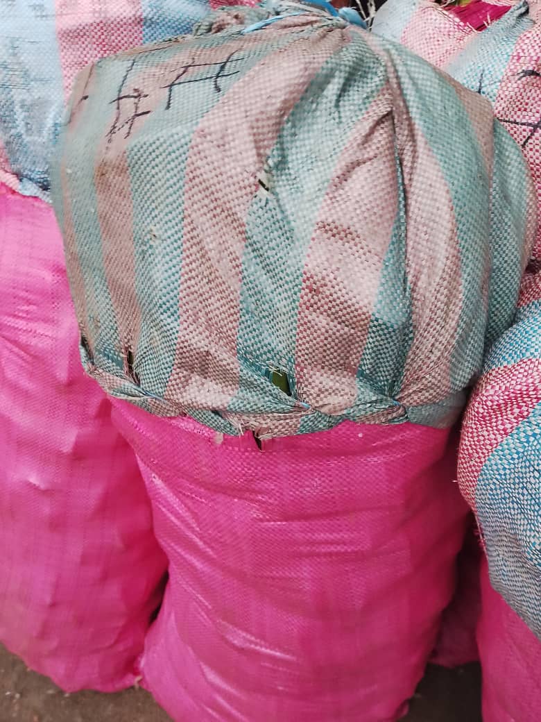 BANANE PLANTAIN - SAC(50kg+)