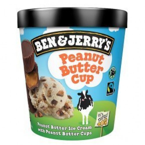 BEN & JERRY'S - PEANUT BUTTER CUP (450ml)