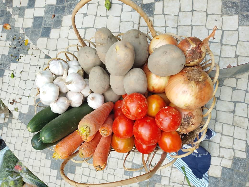 PANIER LEGUME PTOTCC