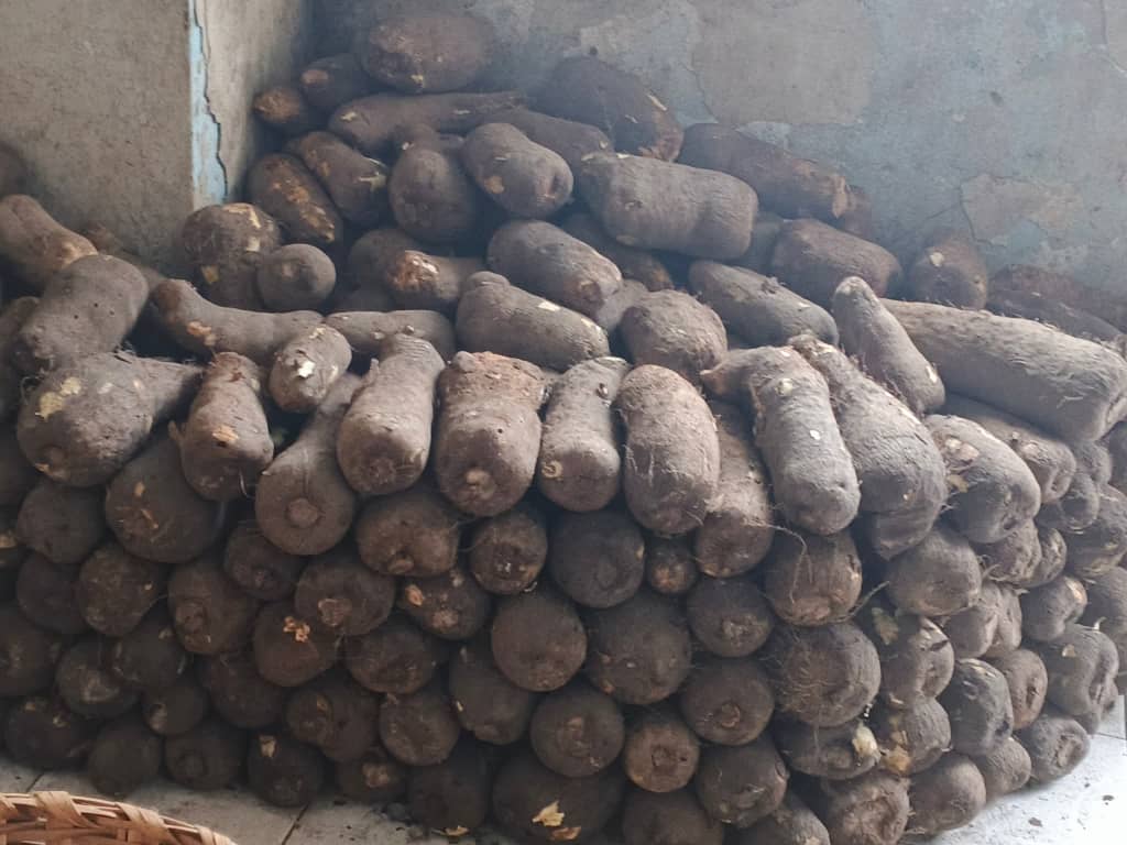 IGNAME KPONAN (20kg)