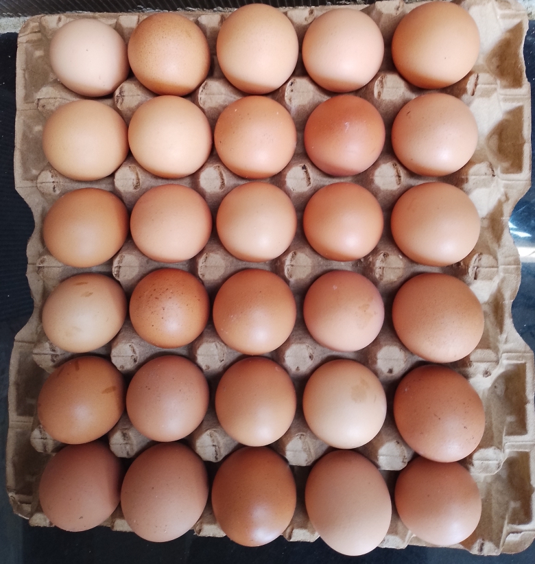 PLAQUETTE D'OEUF MOYEN (Unité)