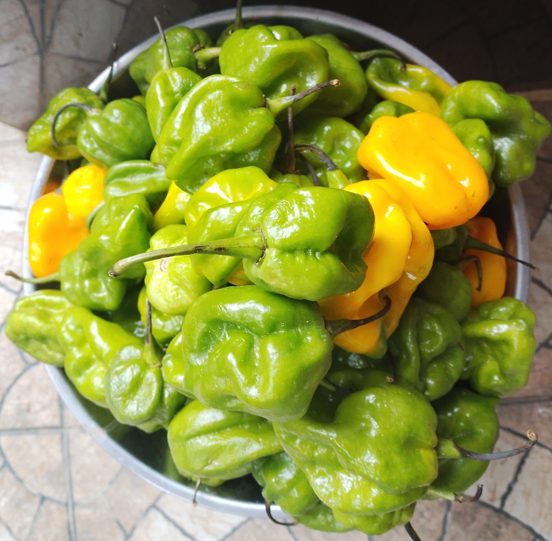 PIMENT SENT BON (1Kg)