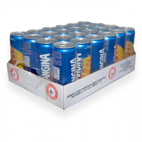 PACK (24) ORANGINA (33cl)