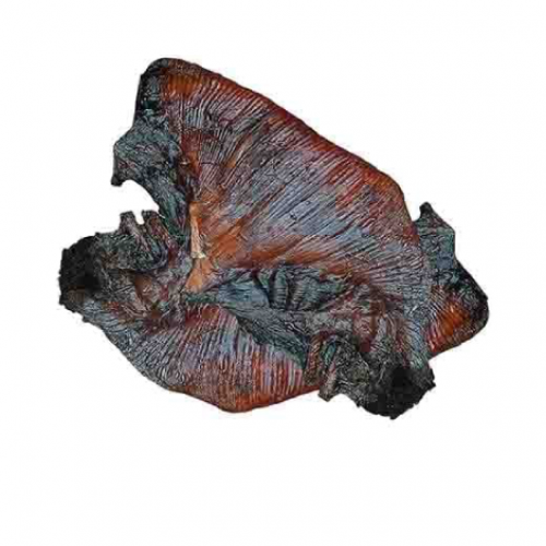 POISSON RAIE FUMÉ (Unité)